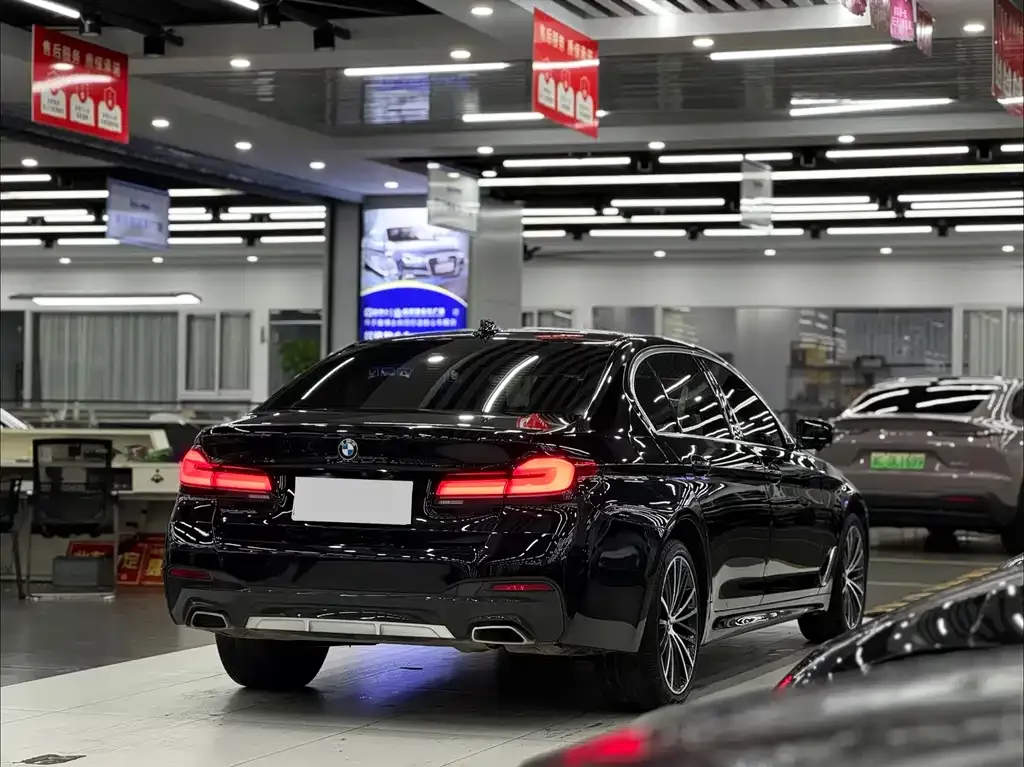 BMW 5 Series 2021 из CN, фото 6