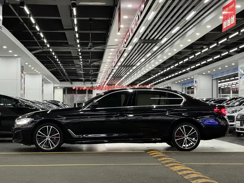 BMW 5 Series 2021 из CN, фото 7