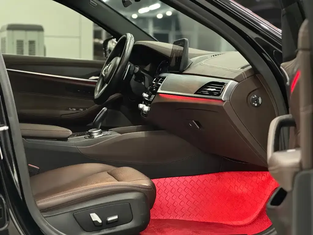 BMW 5 Series 2021 из CN, фото 9