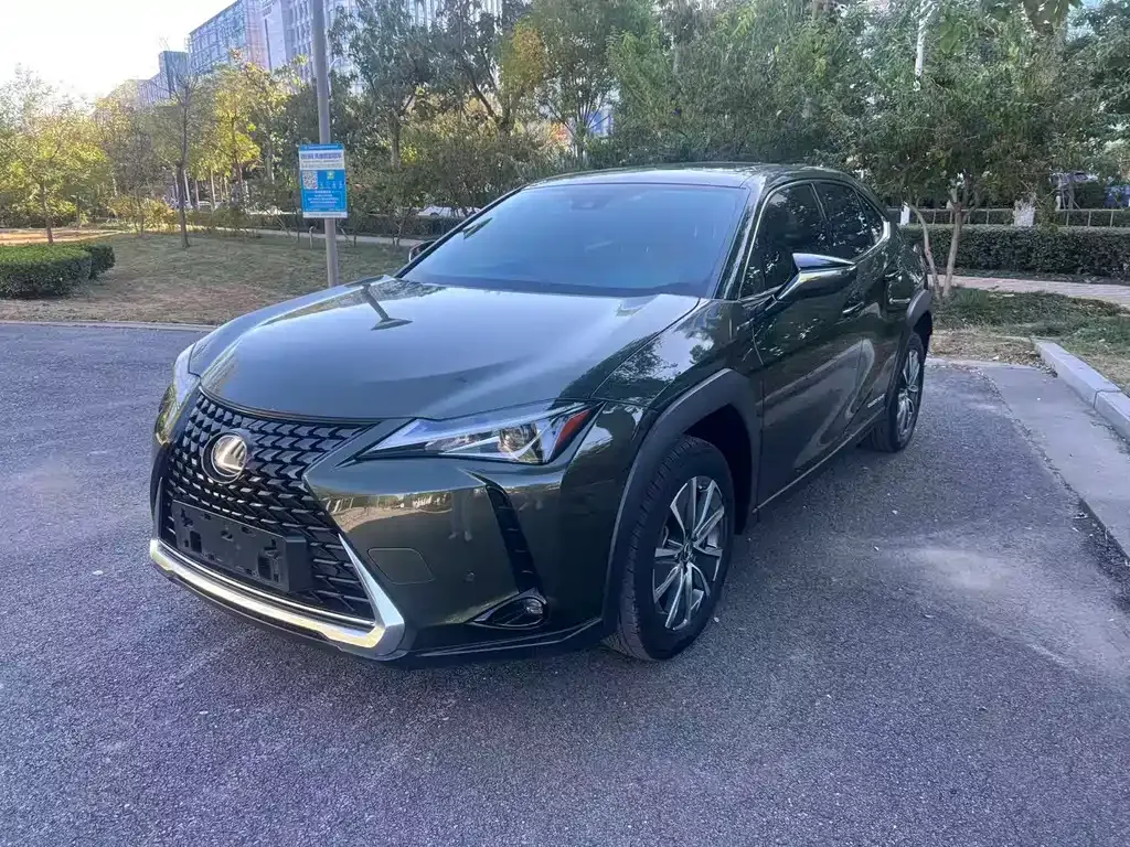 Lexus UX New Energy 2021 из CN, фото 1