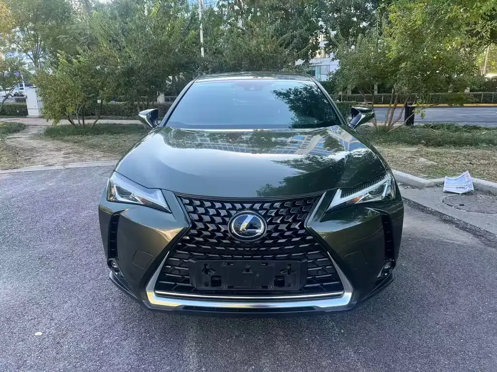 Lexus UX New Energy 2021 из CN, фото 2