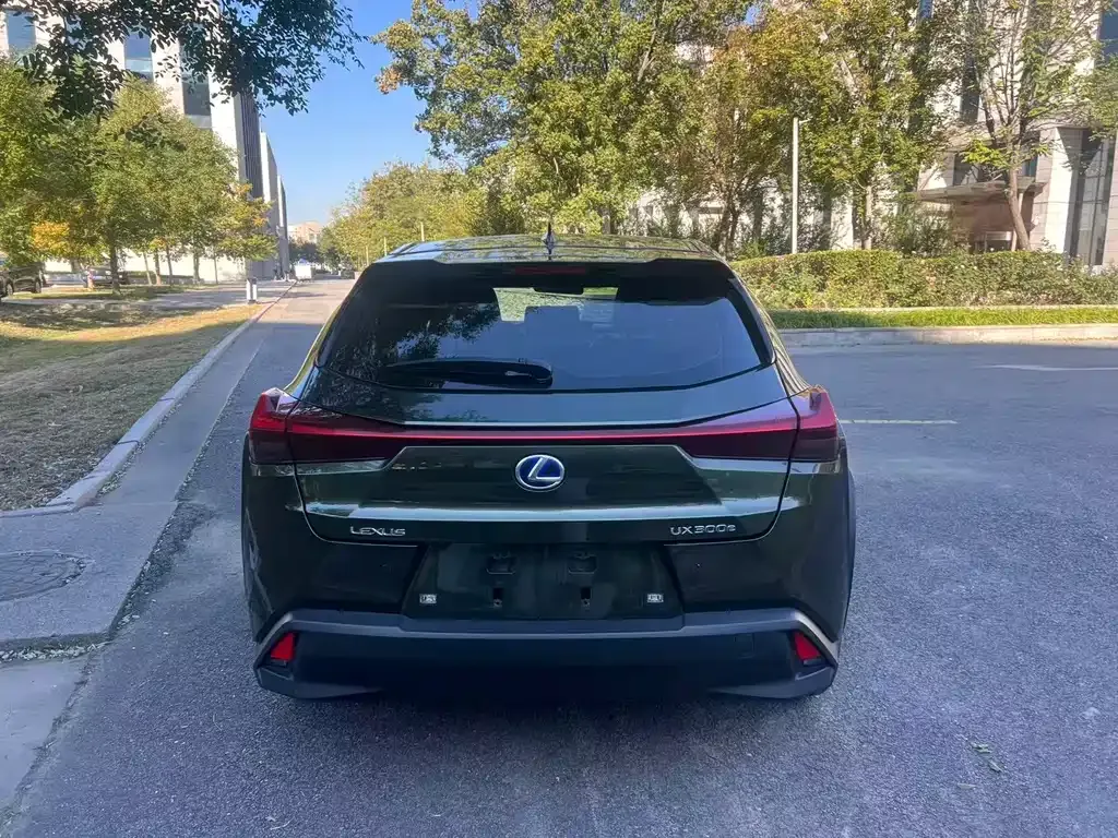 Lexus UX New Energy 2021 из CN, фото 4