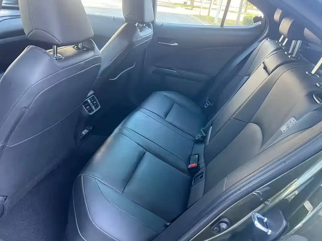 Lexus UX New Energy 2021 из CN, фото 6