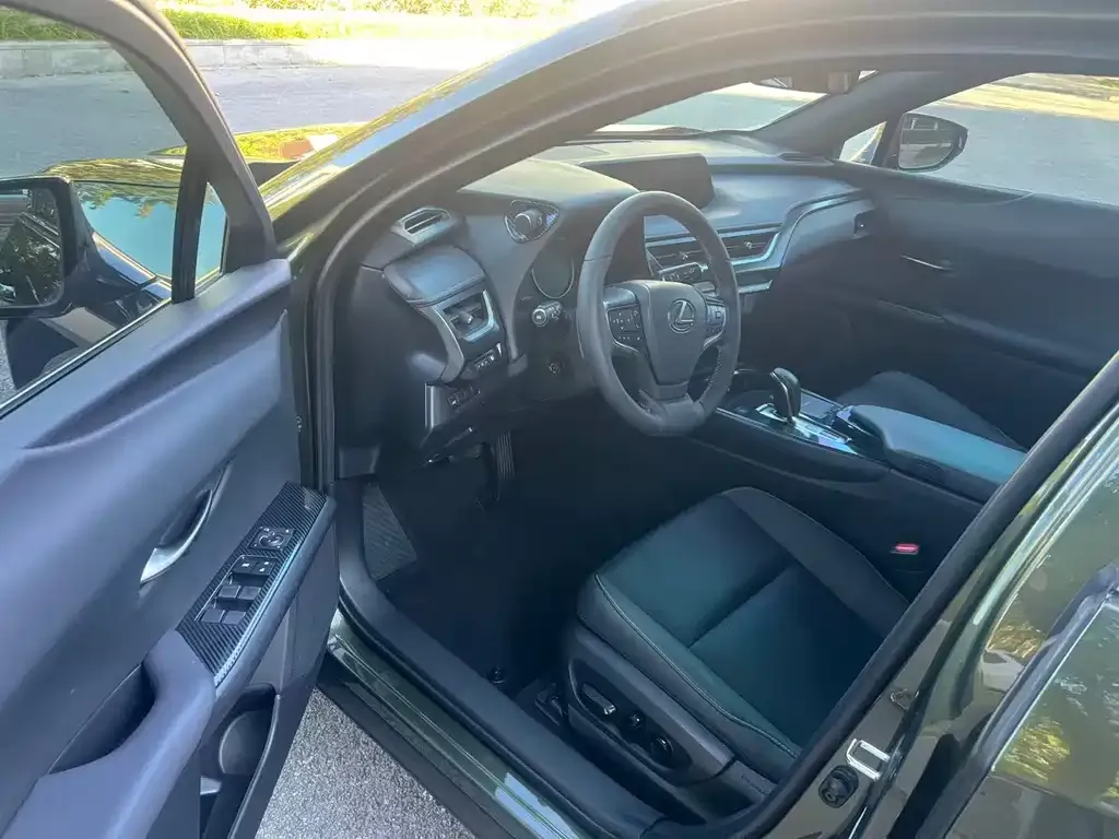 Lexus UX New Energy 2021 из CN, фото 7