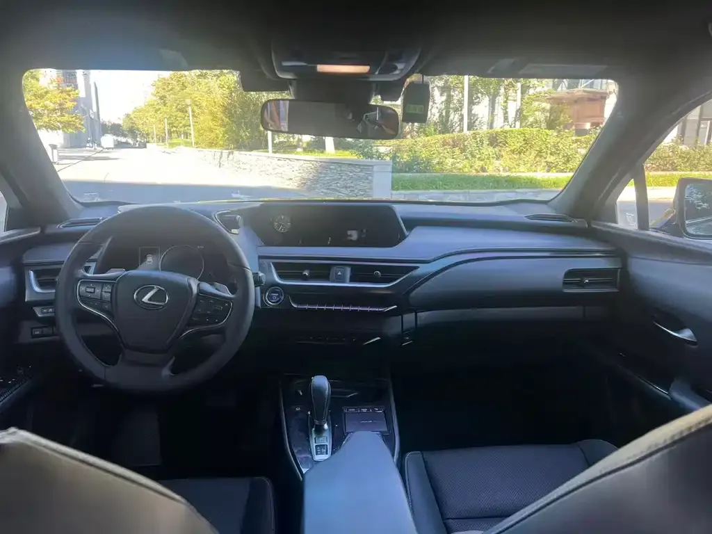 Lexus UX New Energy 2021 из CN, фото 8