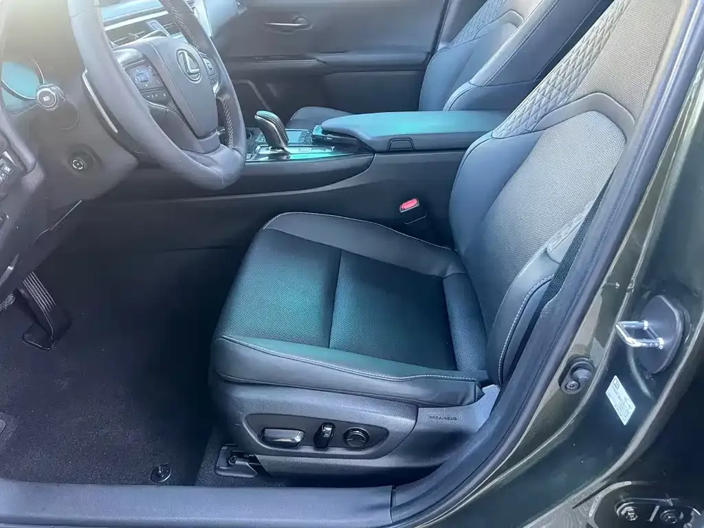 Lexus UX New Energy 2021 из CN, фото 9