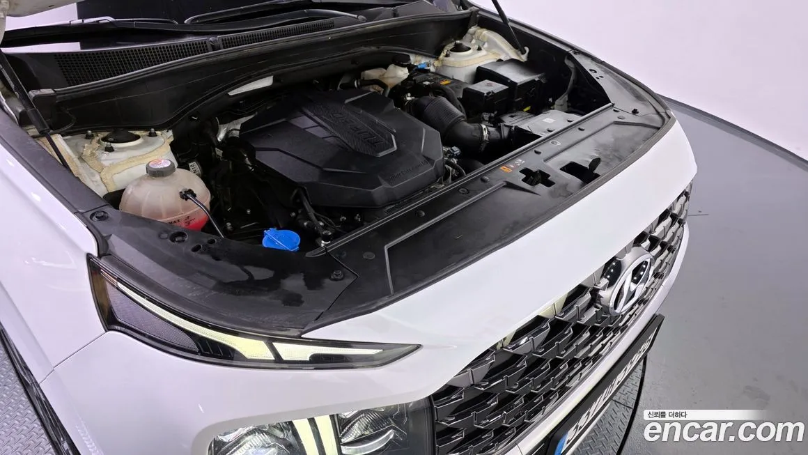 Hyundai Santafe 2021 из KR, фото 6