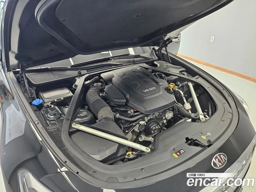 [object Object] K9 2021 из KR, фото 6