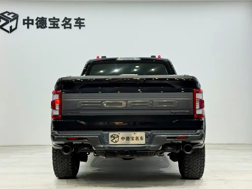 [object Object] F-150 Raptor 2023 из CN, фото 5