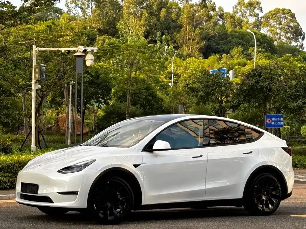 Tesla Model Y — фото 1