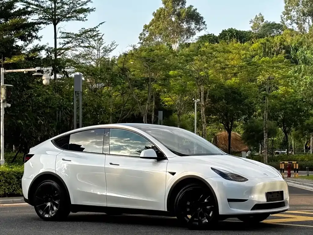 Tesla Model Y — фото 3