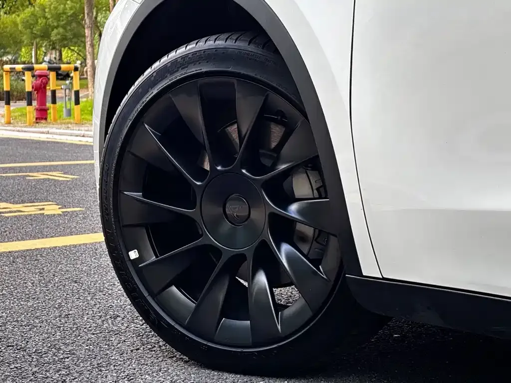 Tesla Model Y — фото 9