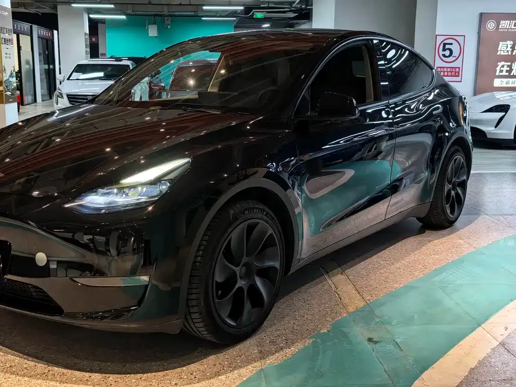 Tesla Model Y — фото 2