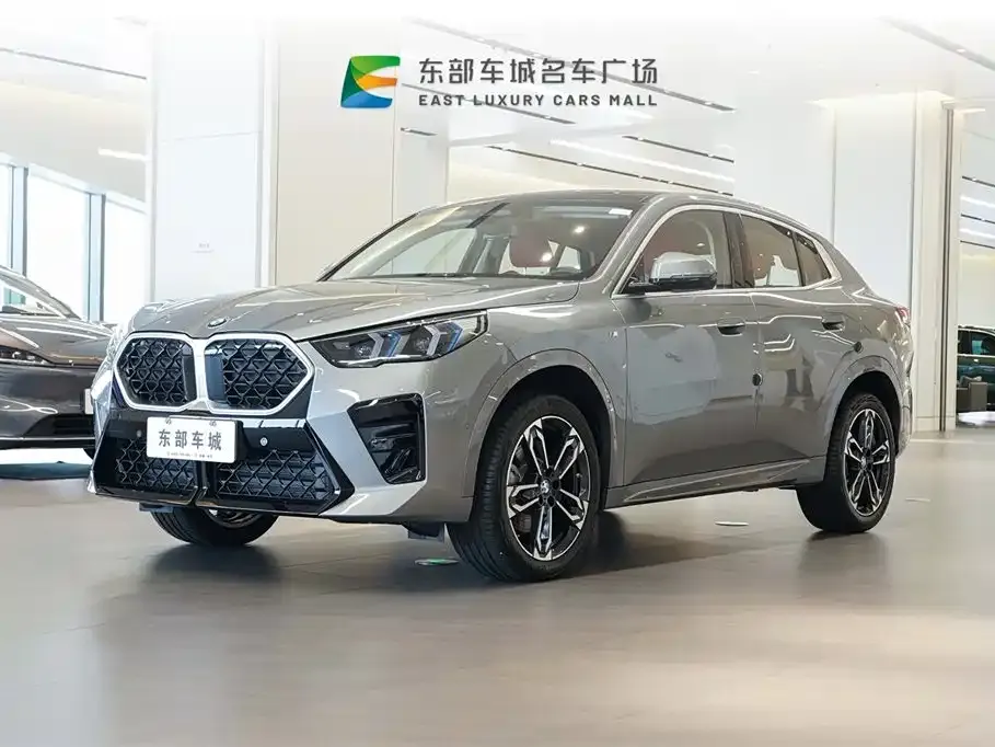 BMW X2 (Import) 2024 из CN, фото 1
