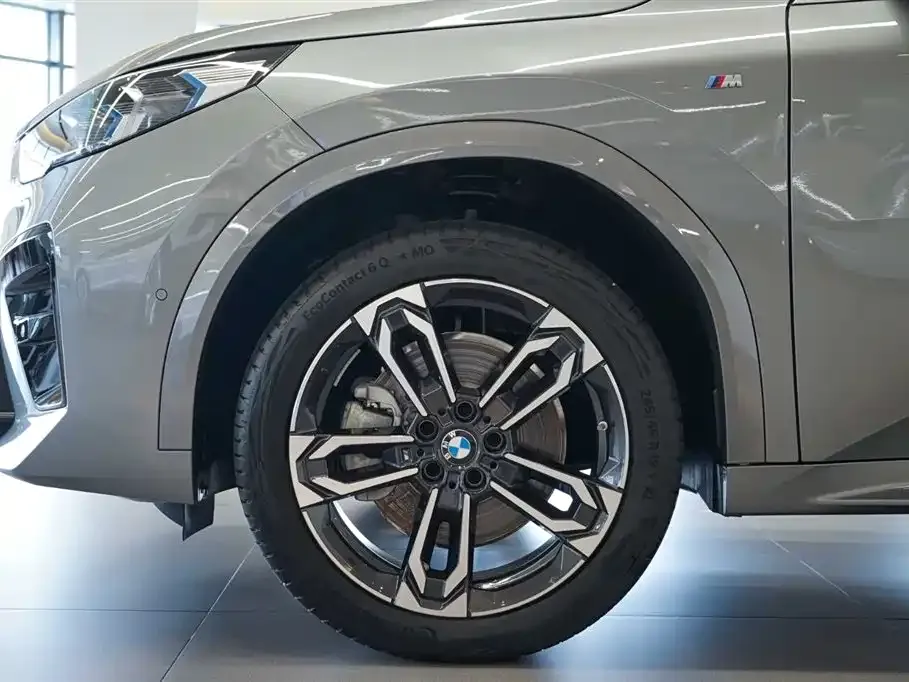BMW X2 (Import) 2024 из CN, фото 10
