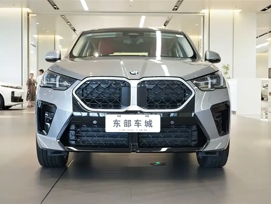 BMW X2 (Import) 2024 из CN, фото 2