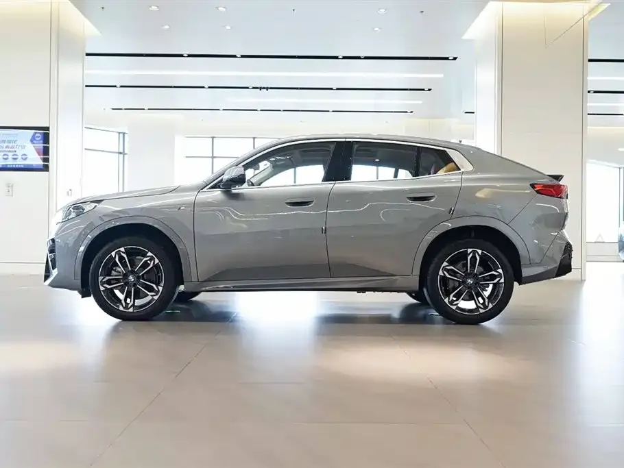 BMW X2 (Import) 2024 из CN, фото 3