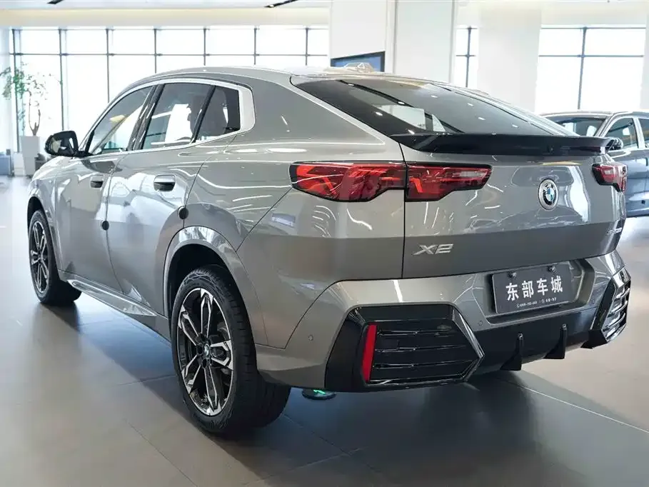 BMW X2 (Import) 2024 из CN, фото 4