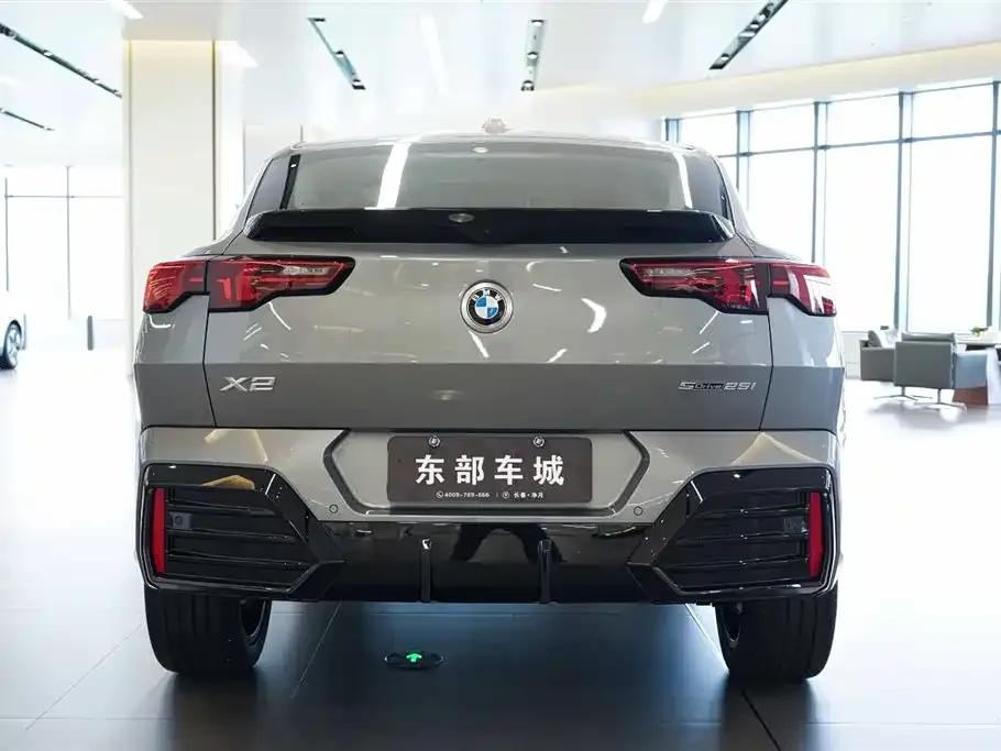 BMW X2 (Import) 2024 из CN, фото 5