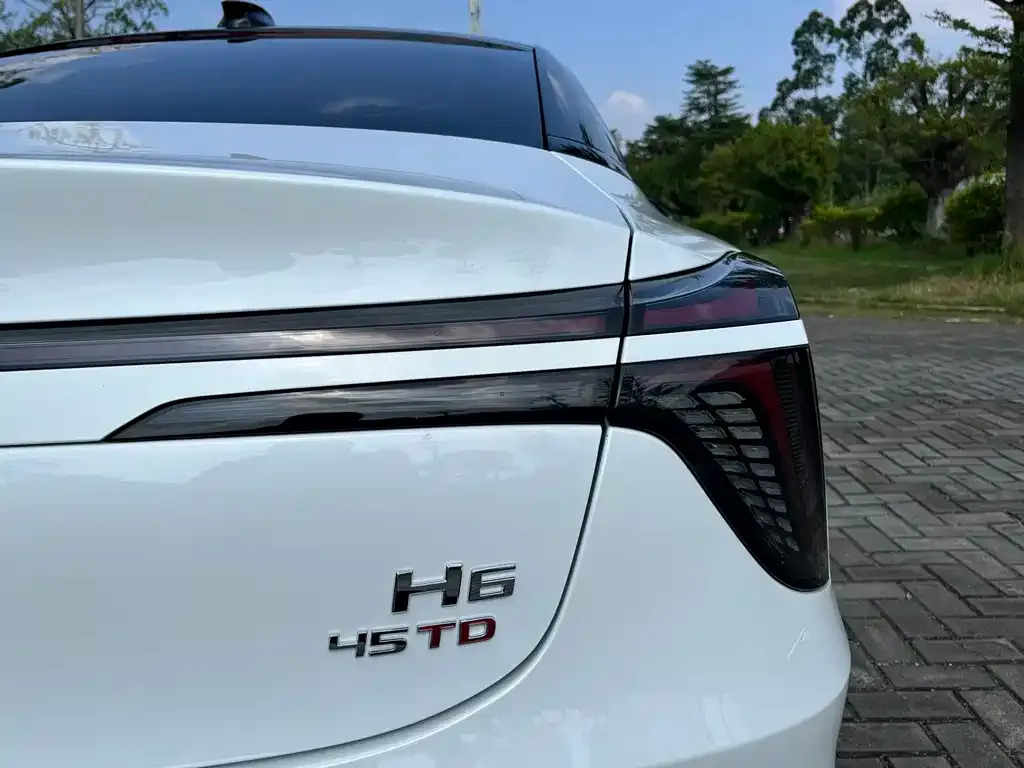 Hongqi H6 2023 из CN, фото 9