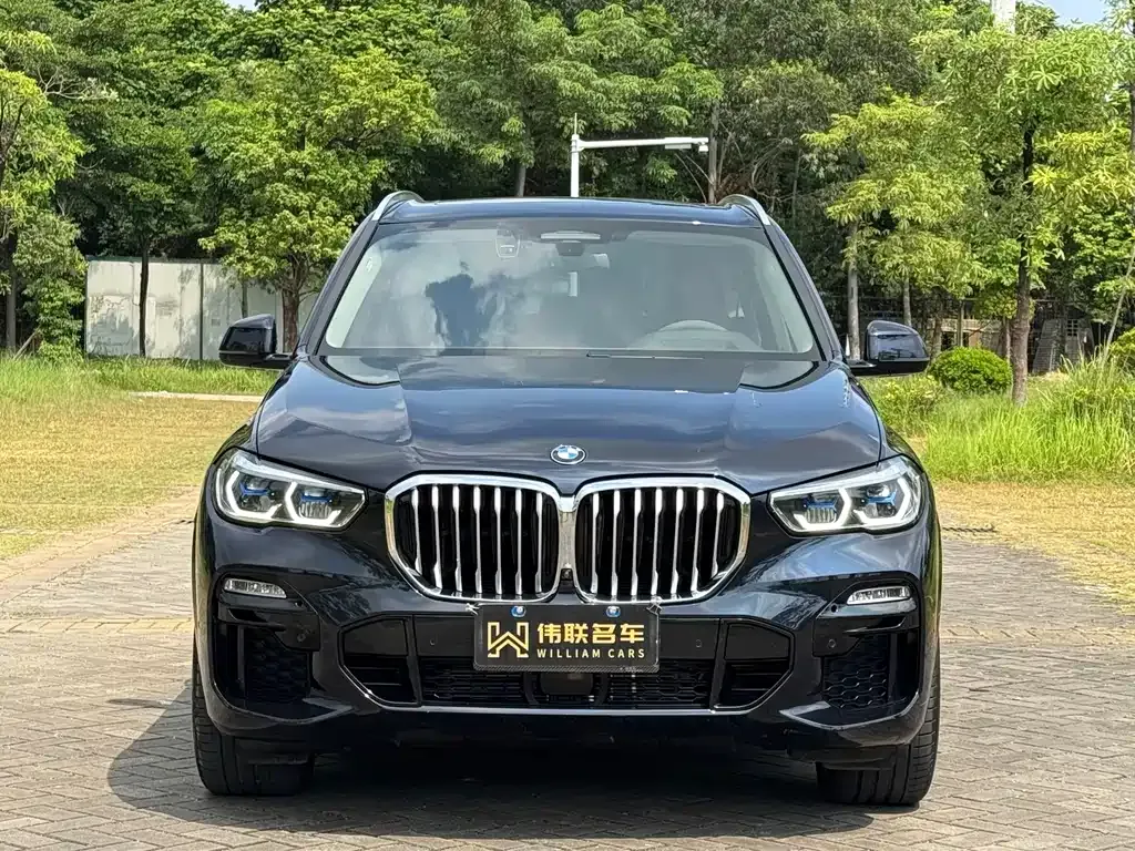 [object Object] X5 (Import) 2021 из CN, фото 2