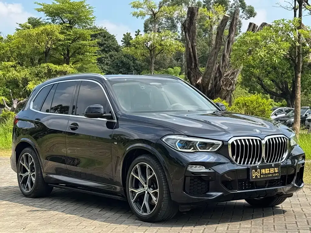 [object Object] X5 (Import) 2021 из CN, фото 3