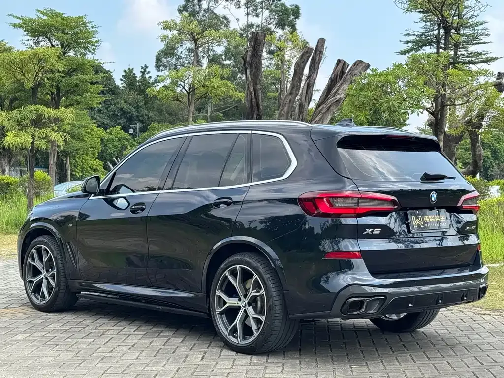 [object Object] X5 (Import) 2021 из CN, фото 6