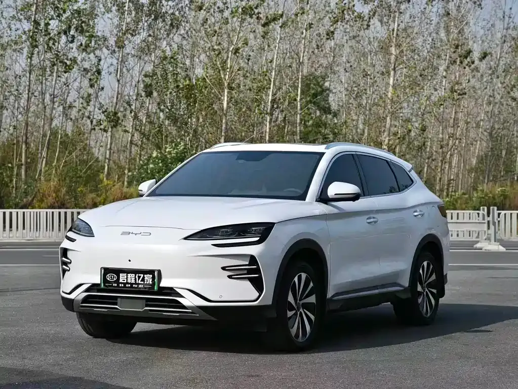 BYD PLUS New Energy — фото 1