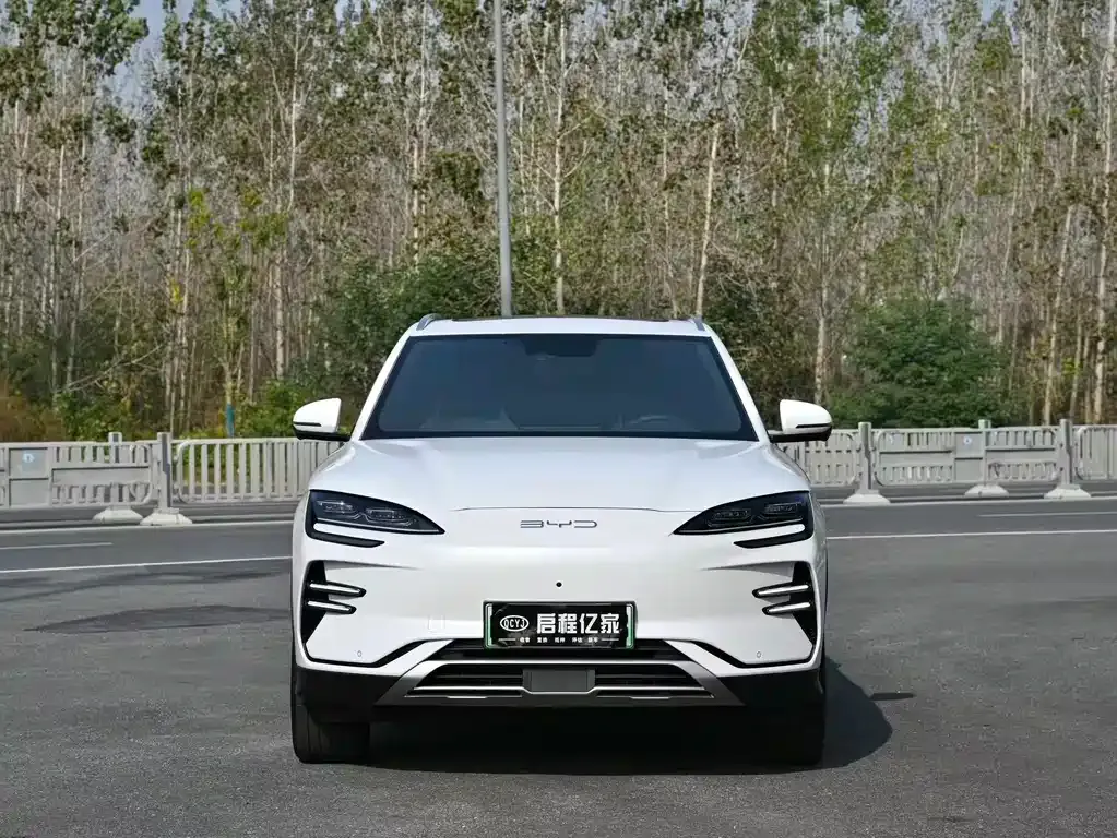 BYD PLUS New Energy — фото 2