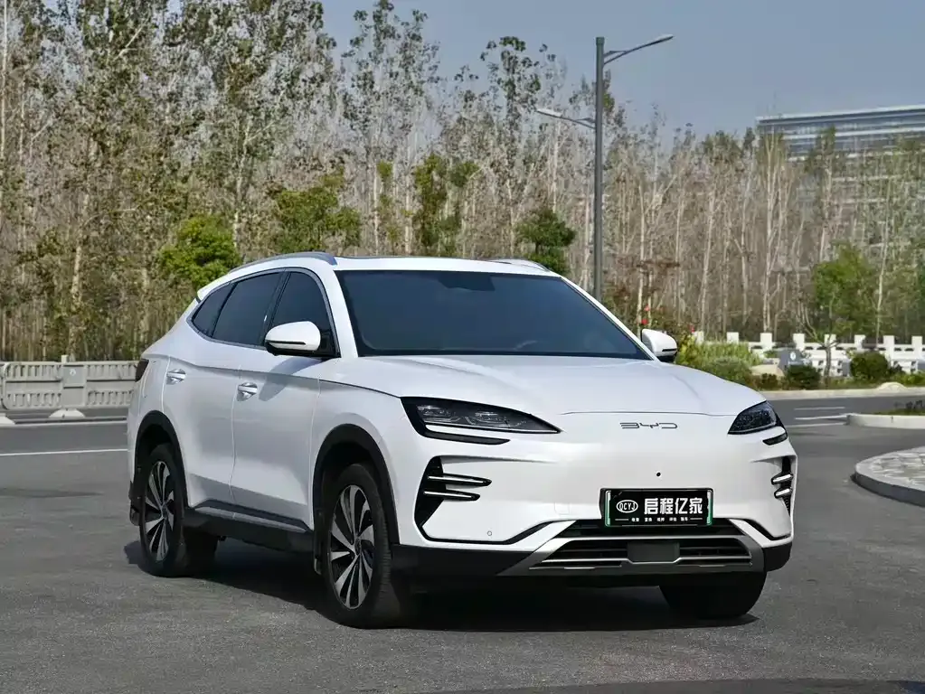 BYD PLUS New Energy — фото 3