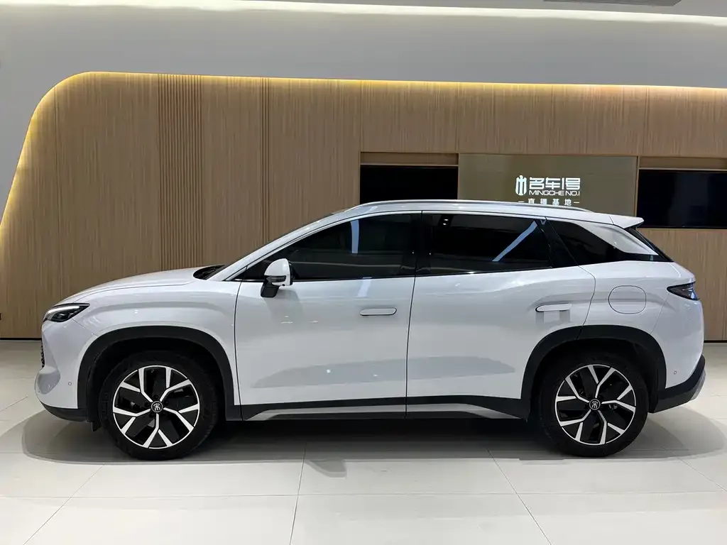 BYD L DM-i — фото 3