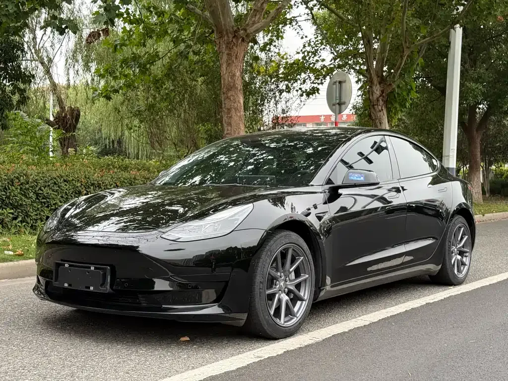 Tesla Model 3 2023 из CN, фото 1
