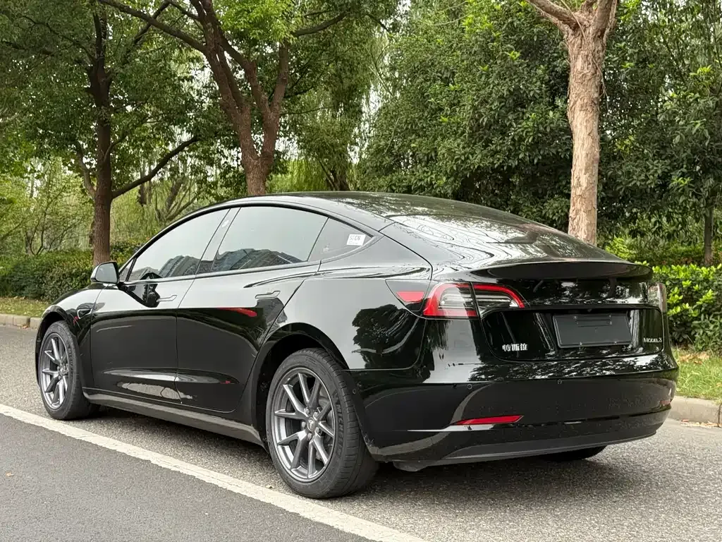 Tesla Model 3 2023 из CN, фото 3