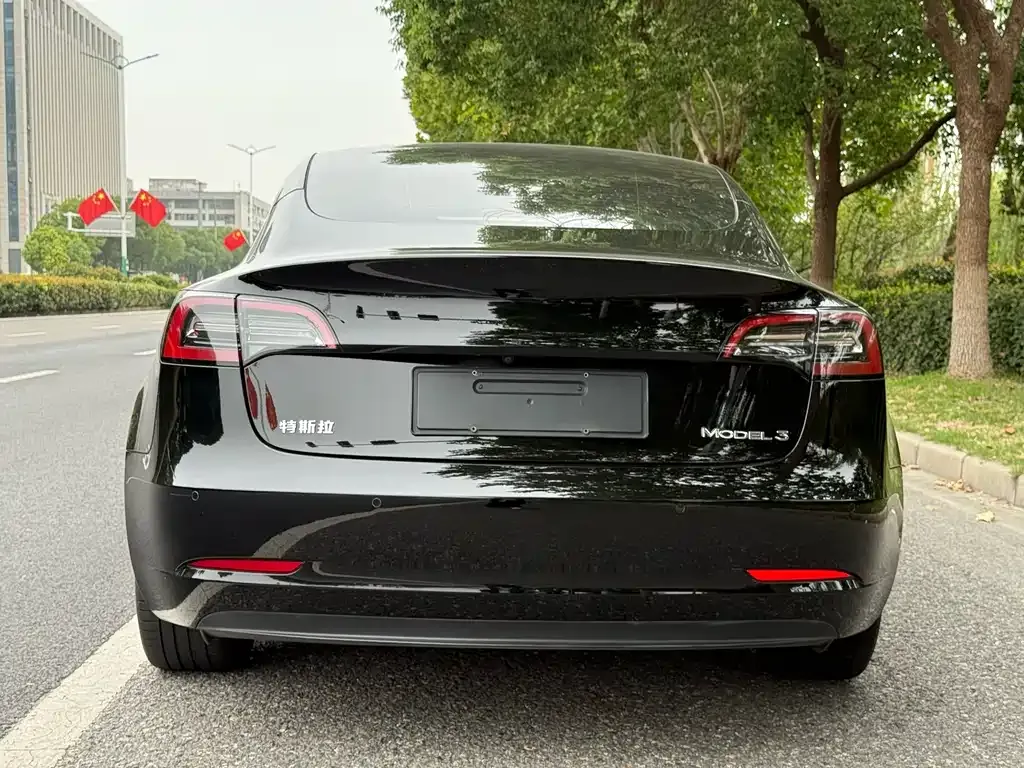 Tesla Model 3 2023 из CN, фото 4