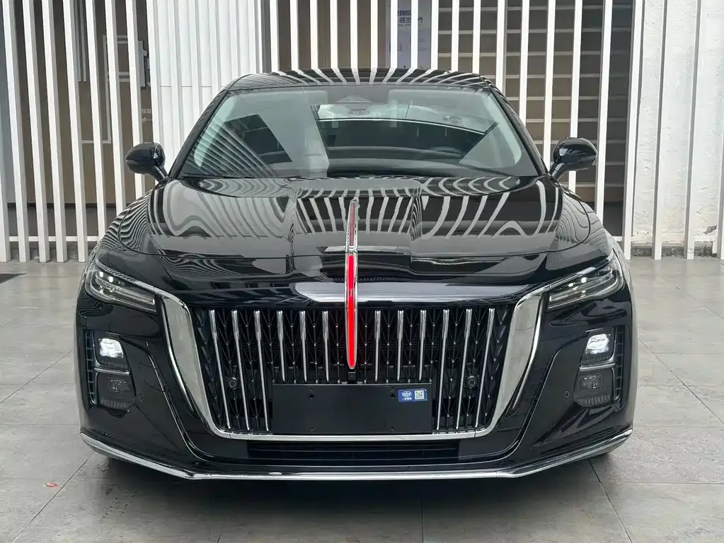 Hongqi H5 2023 из CN, фото 2