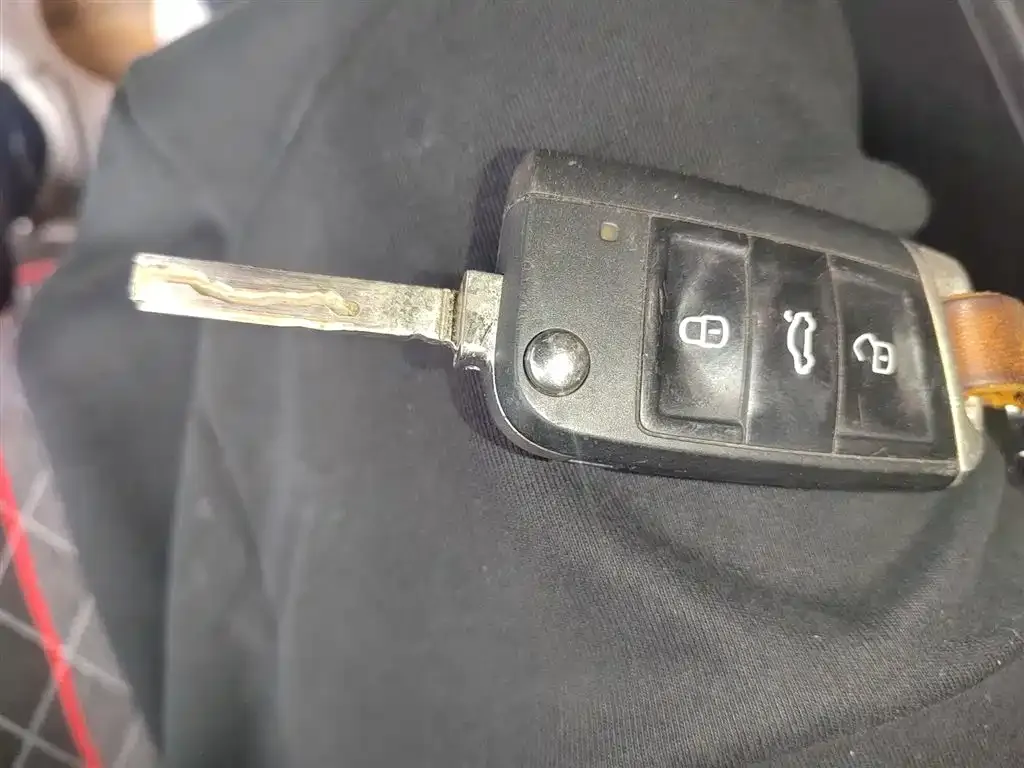 Volkswagen Lamando 2021 из CN, фото 9