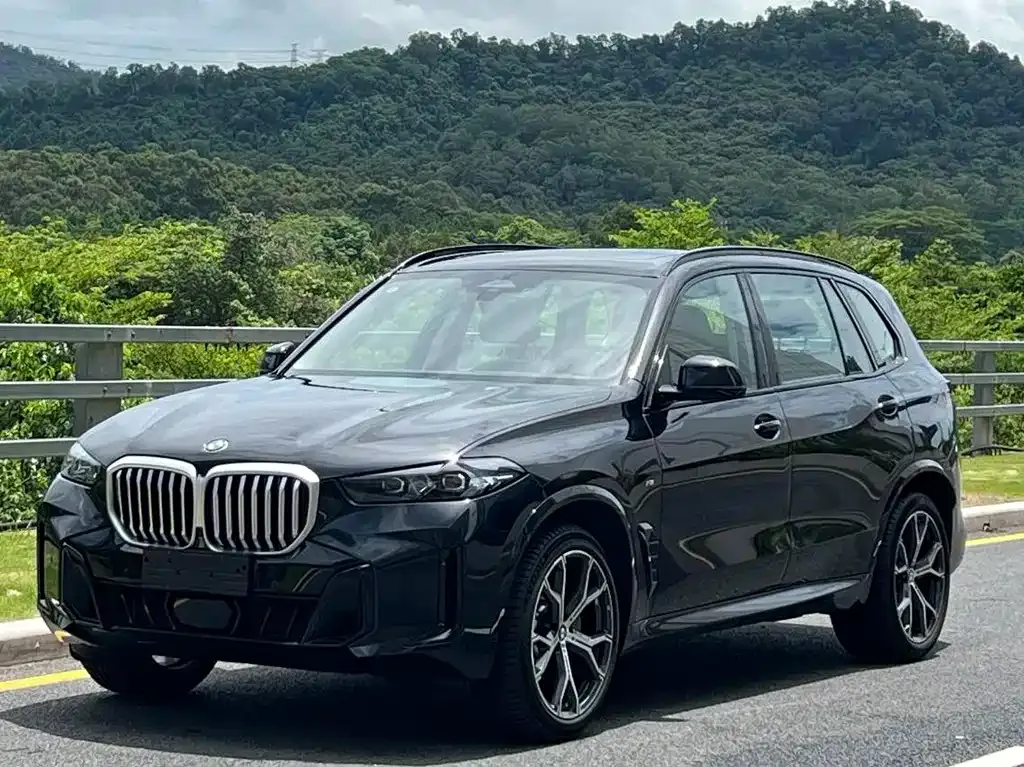 BMW X5 2025 из CN, фото 1
