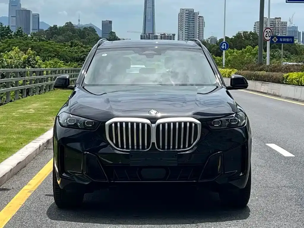 BMW X5 2025 из CN, фото 2