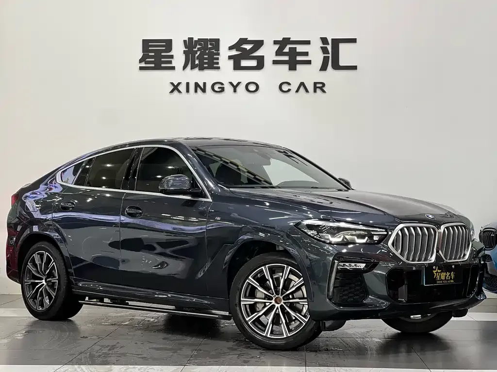 BMW X6