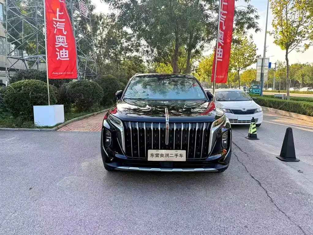 Hongqi HS7 PHEV — фото 3
