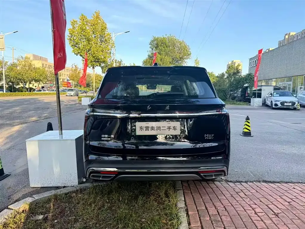 Hongqi HS7 PHEV — фото 6