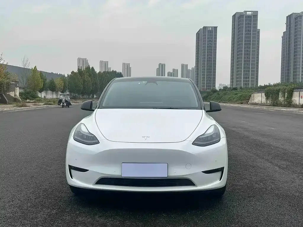 Tesla Model Y 2024 из CN, фото 2