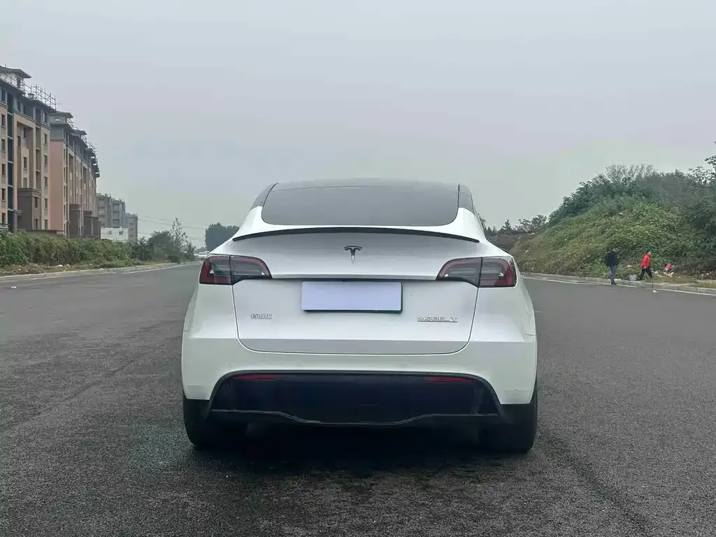 Tesla Model Y 2024 из CN, фото 8