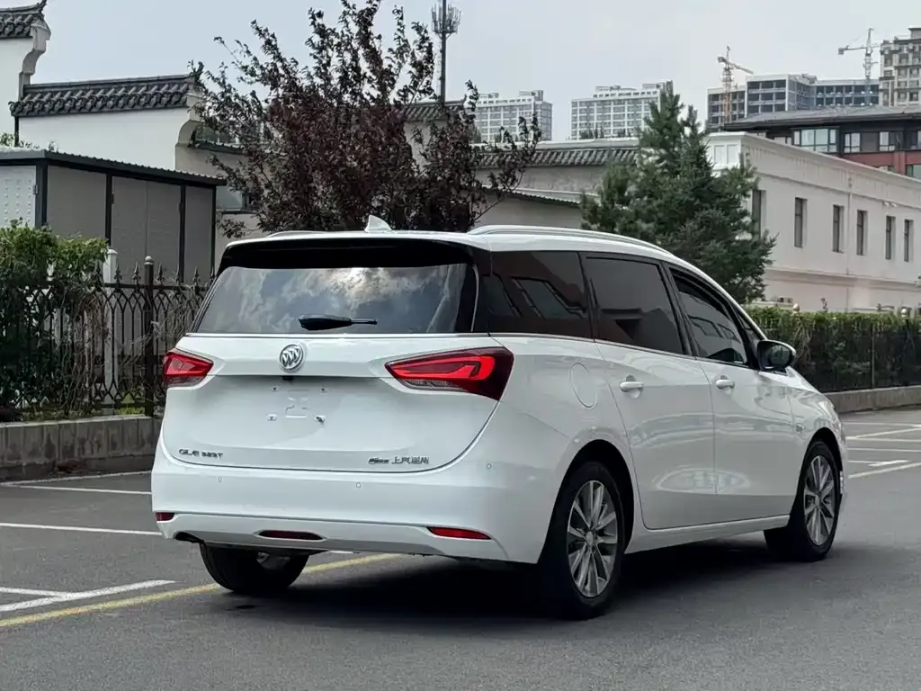Buick GL6 2023 из CN, фото 7