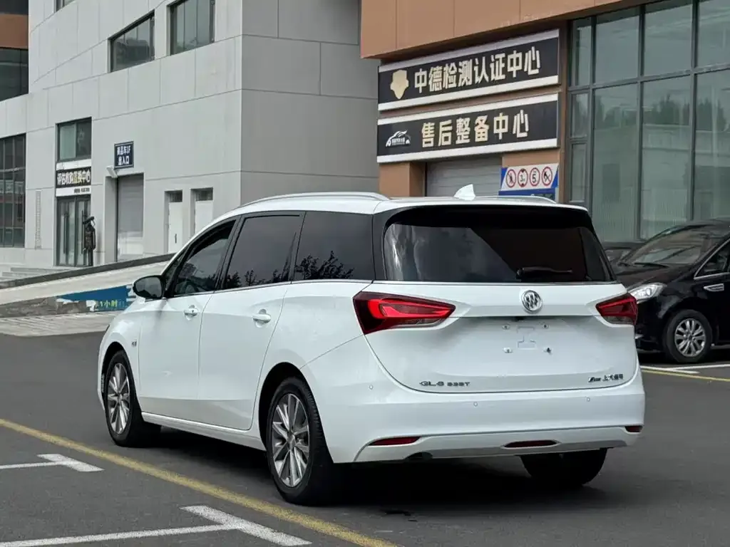 Buick GL6 2023 из CN, фото 8