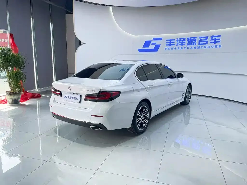 BMW 5 Series 2021 из CN, фото 2
