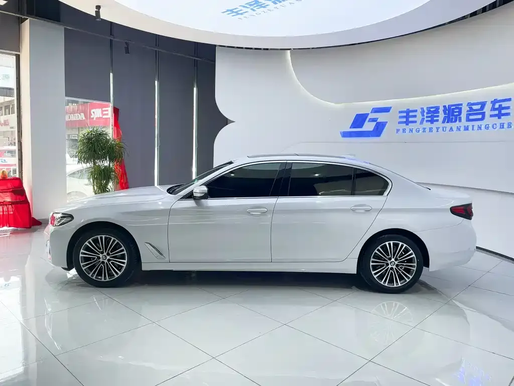 BMW 5 Series 2021 из CN, фото 3