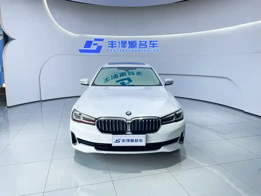 BMW 5 Series 2021 из CN, фото 4