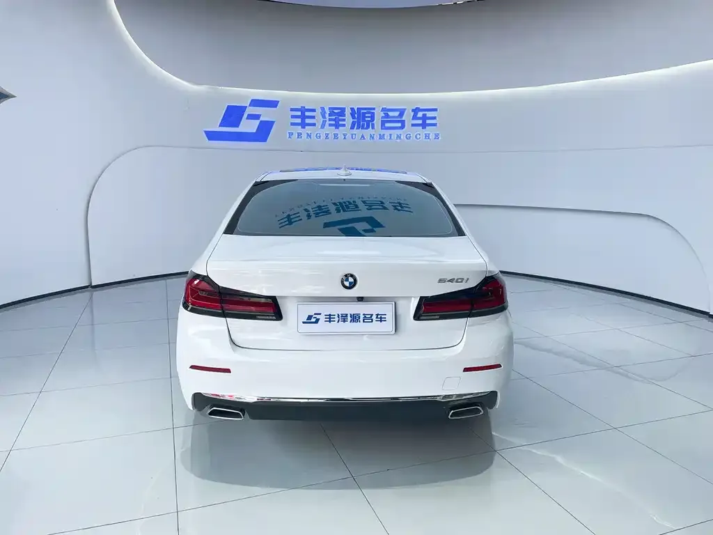 BMW 5 Series 2021 из CN, фото 5
