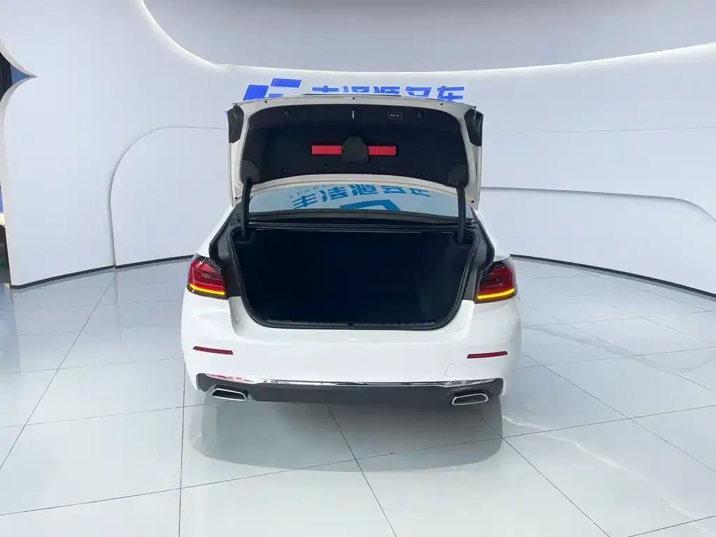 BMW 5 Series 2021 из CN, фото 6